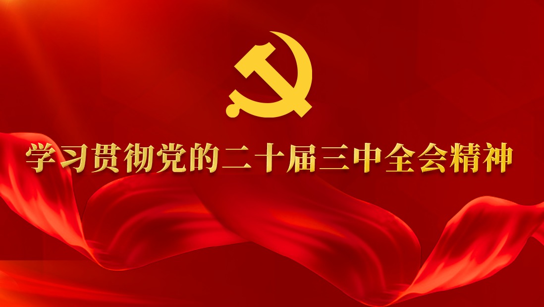 学习贯彻党的二十届三中全会精神